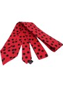 Klukovna Červená kravata s černými puntíky