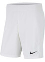 Šortky Nike M NK VPRKNIT III SHORT K cw3847-100