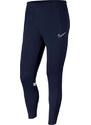 Kalhoty Nike Y NK DRY Academy PANTS cw6124-451