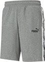 Puma AMPLIFIED Shorts 9 Medium Gray Heather