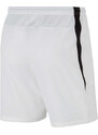 Šortky Nike M NK DF VNM SHORT III WVN cw3855-100