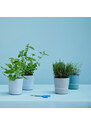 Samozavlažovací květináč na bylinky, Mepal, světle modrý