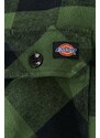 Košile Dickies pánská, zelená barva, regular, s klasickým límcem, DK0A4XDZPG0-PINEGREEN