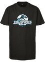 MISTER TEE Kids Jurassic World Logo Tee - black