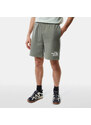 THE NORTH FACE Zelené šortky Coordinates Short S