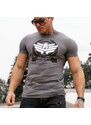 Pánské fitness tričko Iron Aesthetics Triumph, Šedé