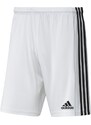 Pánské kraťasy Squadra 21 Short M GN5773 - Adidas