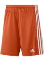 Pánské šortky Squadra 21 Short M GN8084 - Adidas