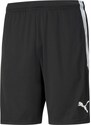 Šortky Puma teamLIGA Training Shorts 65724903