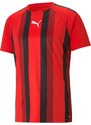 Dres Puma teamLIGA Striped Jersey 70492001