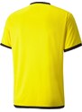 Dres Puma teamLIGA Jersey 70491707