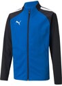 Bunda Puma teamLIGA Training Jacket Jr 65723502