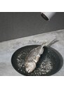 Audo CPH Tmavě hnědo šedý porcelánový dezertní talíř AUDO NEW NORM 13,5 cm