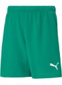 Dětské šortky Team RISEShort Jr 704943 05 - Puma