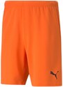 Pánské kraťasy TeamRise Short Prist M 704942 08 - Puma