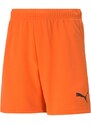 Dětské šortky TeamRise Short Jr 704943 08 - Puma