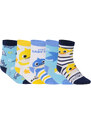 5PACK dětské ponožky Cerdá Baby Shark vícebarevné (2200007399) 19/20