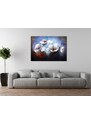 Gario Ručně malovaný obraz Alpské máky Rozměry: 70 x 100 cm