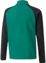 Mikina Puma teamLIGA 1/4 Zip Top Jr 65723705 XXS (111-116 cm)