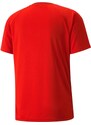 Dres Puma teamVISION Jersey 70492101