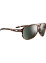 Brýle sluneční TSG Cruise Sunglasses Brown