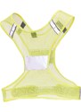 Vesta Nathan Streak reflective vest 2027