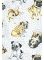 CORNETTE Dívčí pyžamo 594/145 Dogs