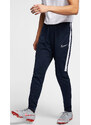 Pánské tepláky Nike Men Dry-Fit Academy Pants Navy White