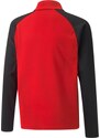 Mikina Puma teamLIGA 1/4 Zip Top Jr 65723701