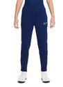 Kalhoty Nike Therma Fit Academy Winter Warrior Jr DC9158-492