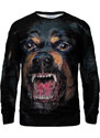 Bittersweet Paris Unisex's Rottweiler Sweater S-Pc Bsp061