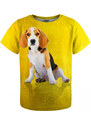 Mr. GUGU & Miss GO Kids's T-shirt KTS-P1788