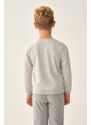 Dagi Boys Gray Sweatshirt