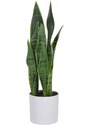 Umělá květina Kave Home Sansevieria