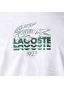 Lacoste pánské tričko