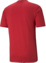 Polokošile Puma teamCUP Casuals Polo 65797601