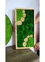 OznTo Živý obraz mech dřevo 2 rozměry,zelený,4druhy