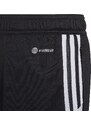 Šortky adidas CON22 TR SHO Y ha6282