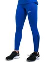 Legíny Nike Women Stock Full Length Tight nt0314-463