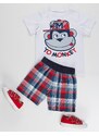 Denokids Monkey Plaid Boy's T-shirt Shorts Set