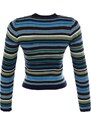 Trendyol Navy Blue Crop Knitwear Sweater