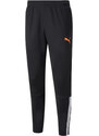 Kalhoty Puma teamLIGA Training Pant 657242-045