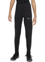 Kalhoty Nike Youth Dri-FIT Strike dh9224-013