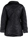 Trendyol Zimní bunda - Schwarz - Puffer