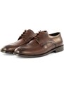 Ducavelli Tira Genuine Leather Men's Classic Shoes, Derby Classic Shoes, Lace-Up Classic Shoes.