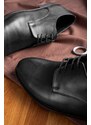 Ducavelli Pierro Genuine Leather Men's Classic Shoes, Derby Classic Shoes, Lace-Up Classic Shoes.