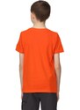 Dětské bavlněné tričko Regatta BOSLEY V oranžová