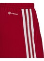 Šortky adidas CON22 MD SHO ha0600