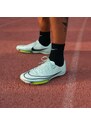 Tretry Nike Air Zoom Maxfly dr9905-300