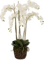 Umělá květina J-Line Maryath Orchid 104 cm